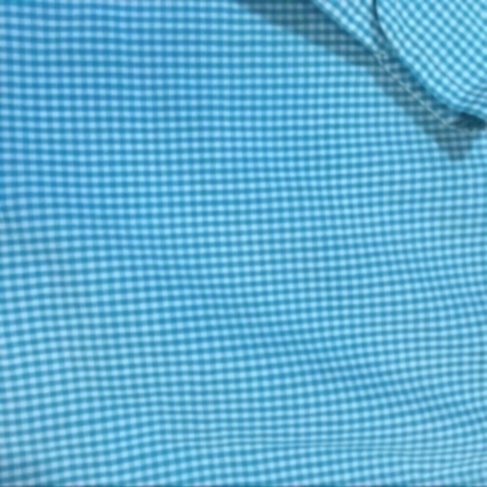 Talbots Blue Gingham Button Down - Picture 4 of 5